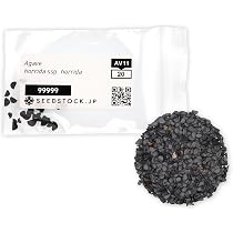 Amazon.co.jp: SEEDSTOCK アガベ パリー トランカータ 種子 10粒